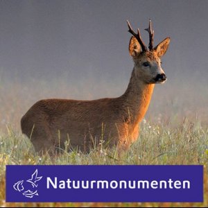 Natuurmonumenten